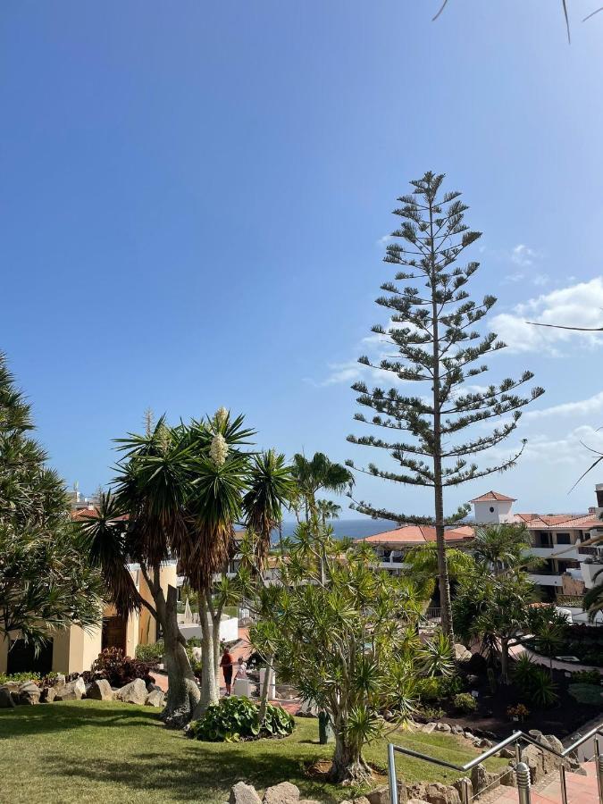 Paraiso Albatros, Beautiful Complex San Miguel de Abona Eksteriør billede