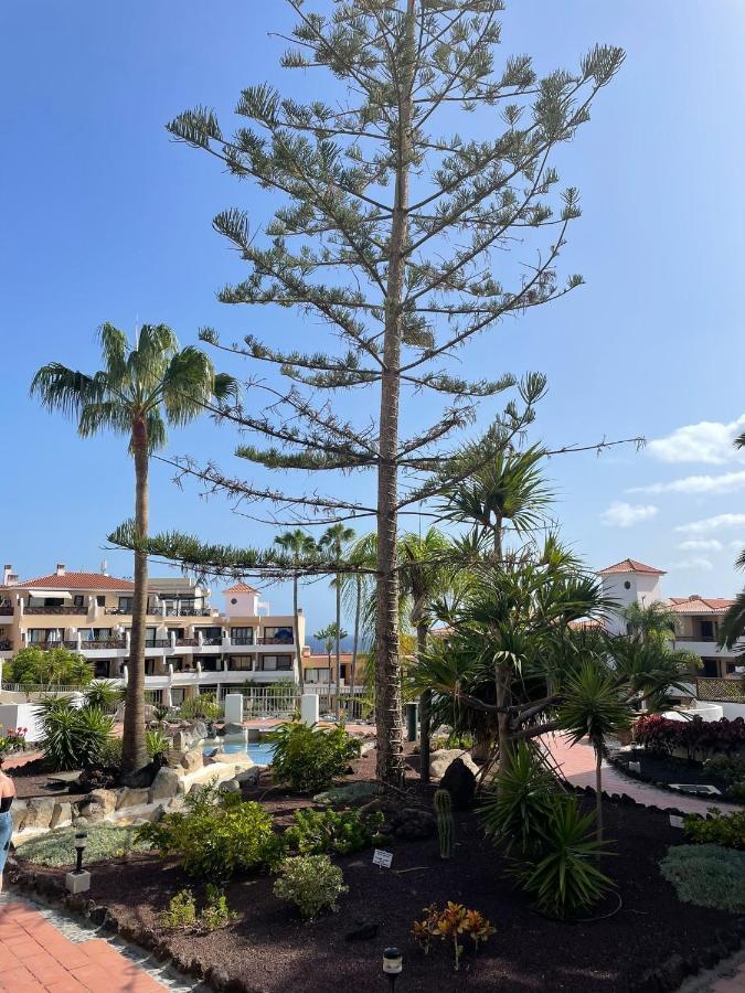Paraiso Albatros, Beautiful Complex San Miguel de Abona Eksteriør billede